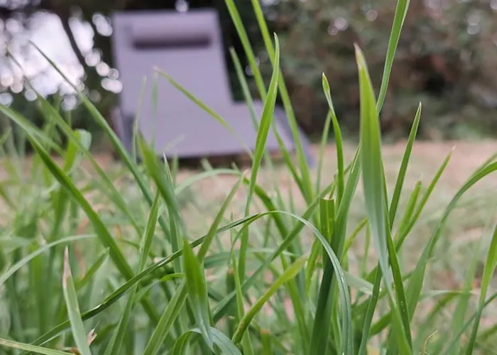 La Mesange 度假居